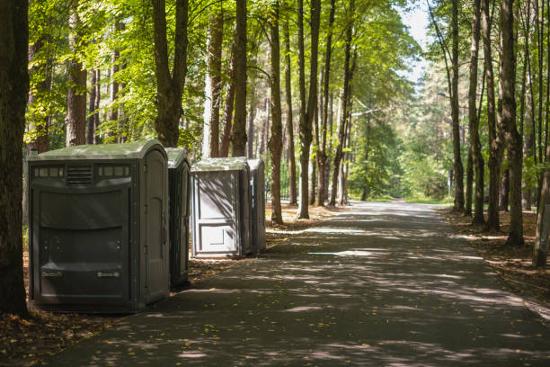 Portable Toilet Options We Offer in Frackville, PA