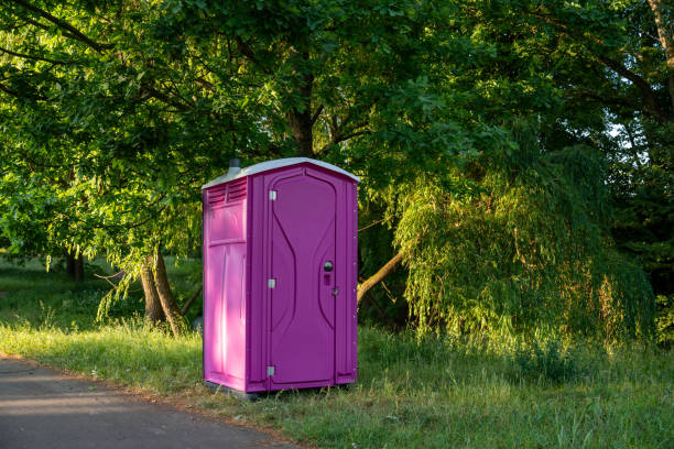 Portable Toilet Options We Offer in Frackville, PA